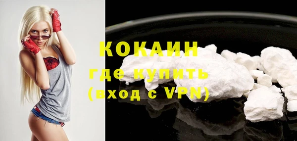 PSILOCYBIN Тайга