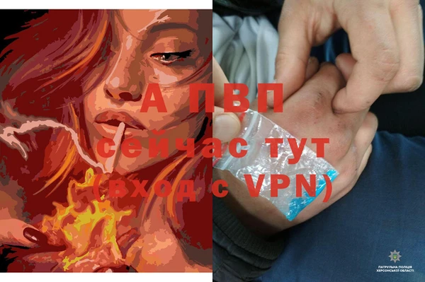 мяу мяу мука Беломорск