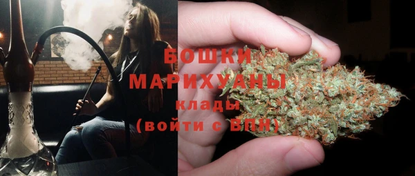 мяу мяу мука Беломорск